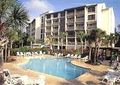 969044-1290067-thumbnail.jpg