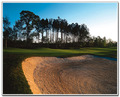 969044-628290-thumbnail.jpg